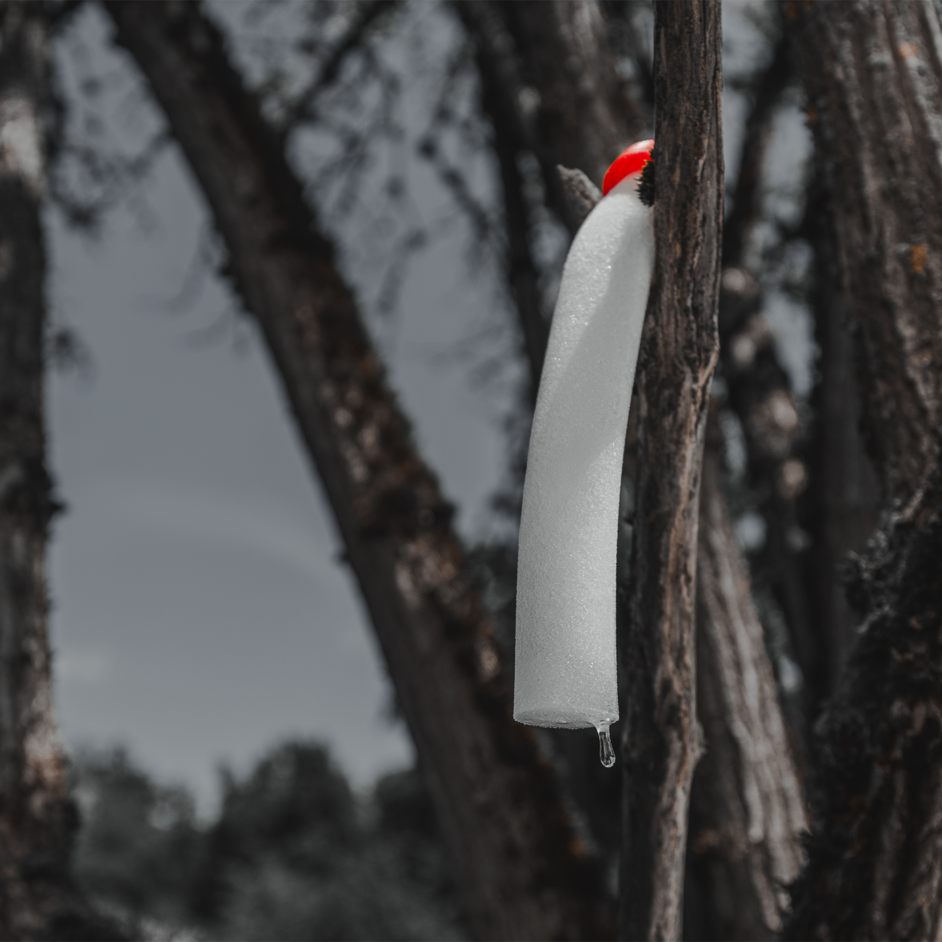 500260_E7