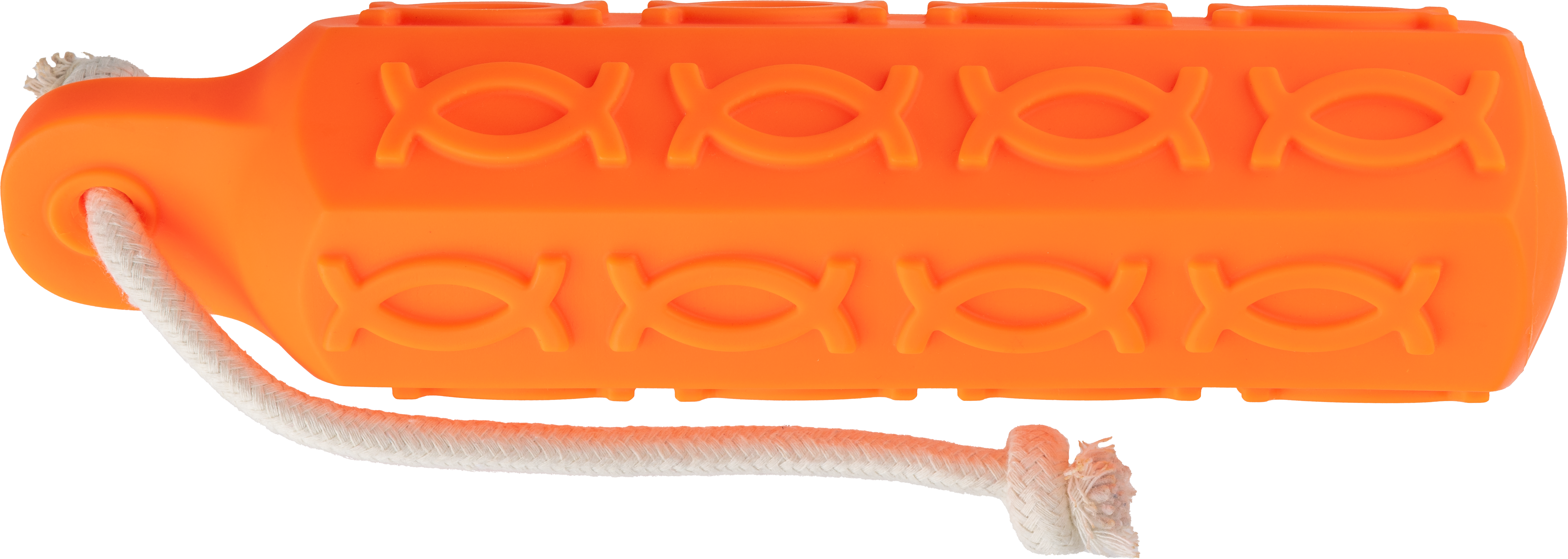 510831_2